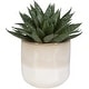 preview thumbnail 1 of 2, Uttermost 60213 Doha 10-1/2" Tall Ceramic Faux Flora Planter - Beige Beige