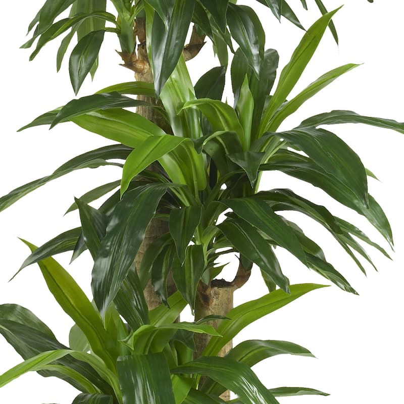 Silk Dracaena Plant - 57" Tall Real Touch Greenery for Home Decor - Indoor Artificial Plant - Rustic Farmhouse Style - 4.75ft.