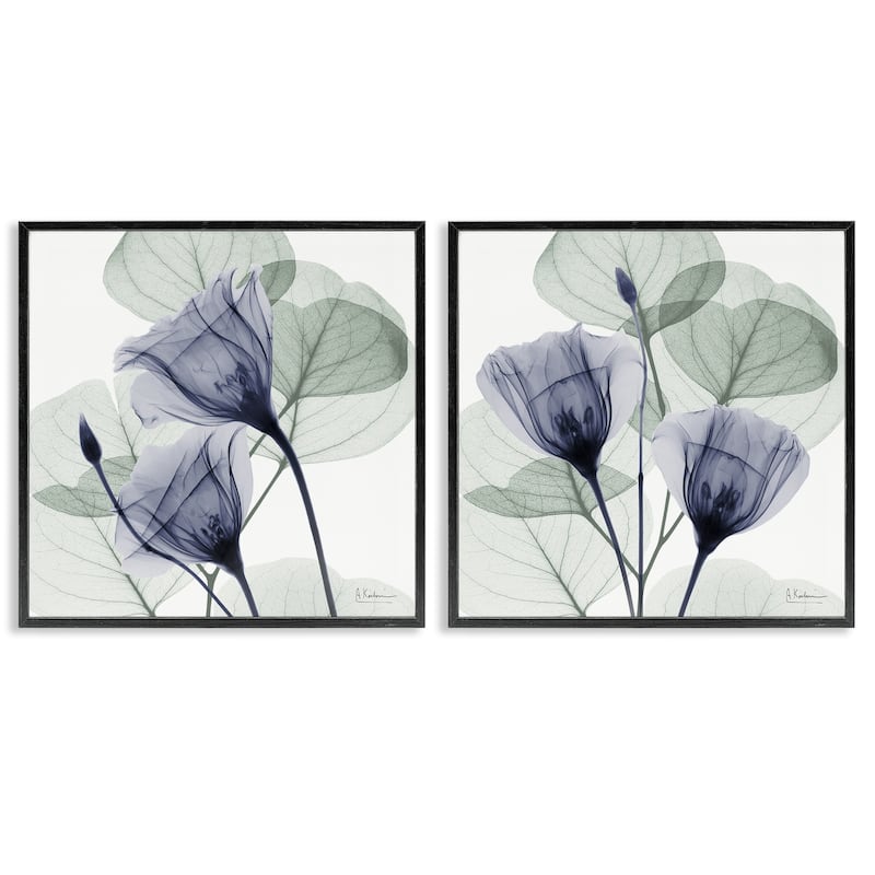 Stupell Fading Florals & Herbs Framed Giclee Art Design By Albert Koetsier (Set of 2) - 17 x 17 - Black