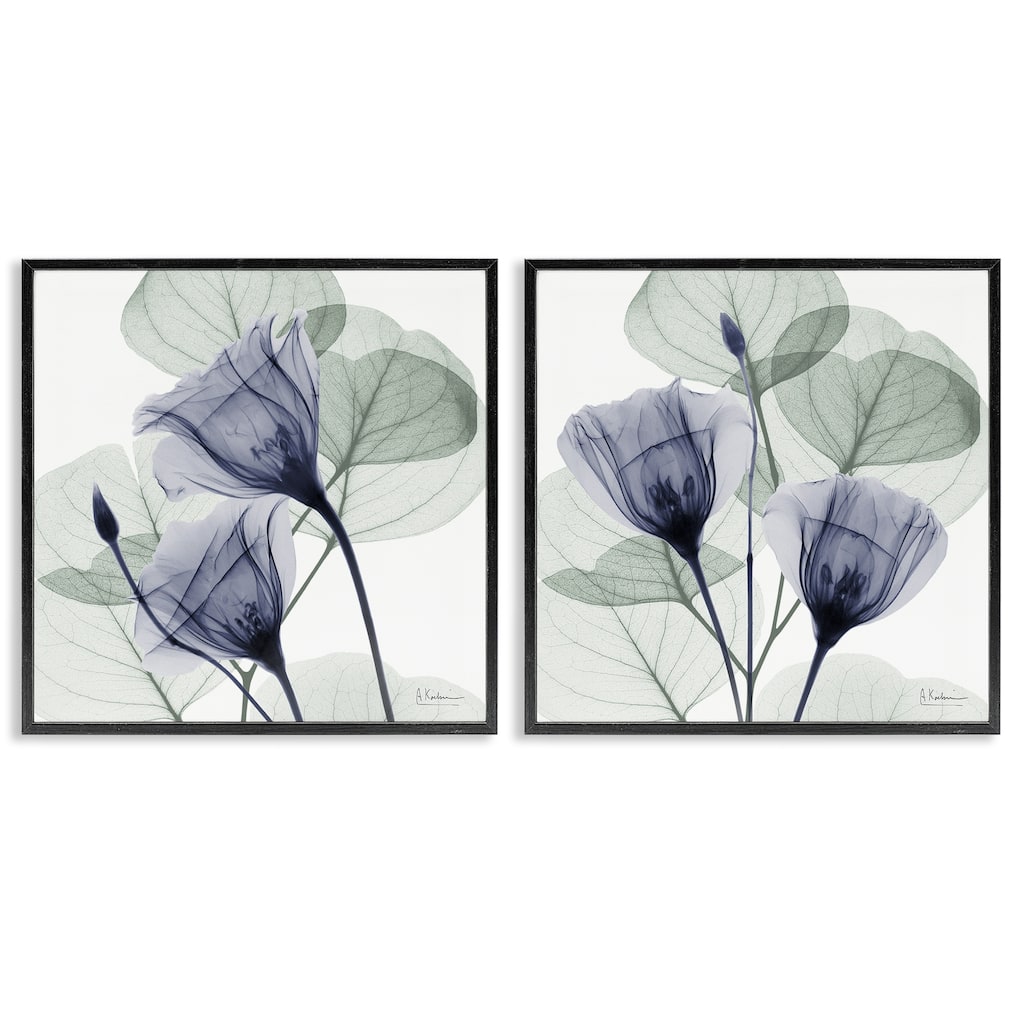 Stupell Fading Florals & Herbs Framed Giclee Art Design By Albert Koetsier (Set of 2)