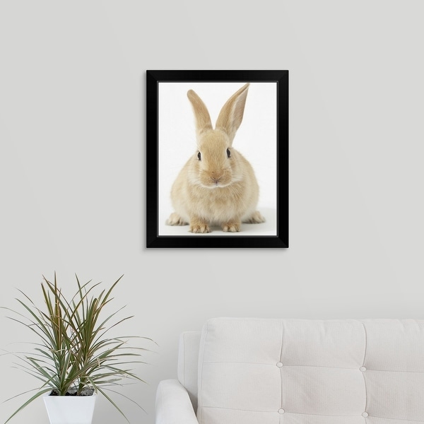 "Beige bunny rabbit" Black Framed Print