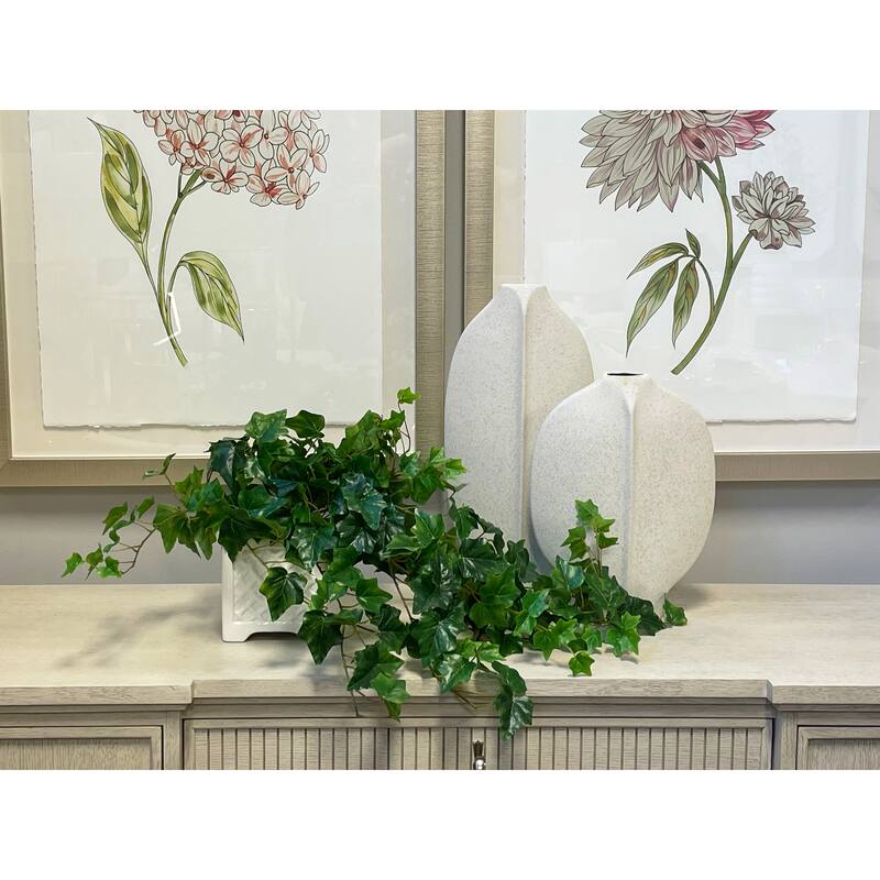 Ivy Arrangement in Square Ceramic Pot - Green