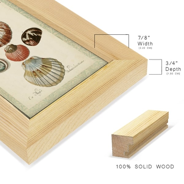 dimension image slide 2 of 10, Bookplate Shells III -Framed Print w/glass-Cherry Red