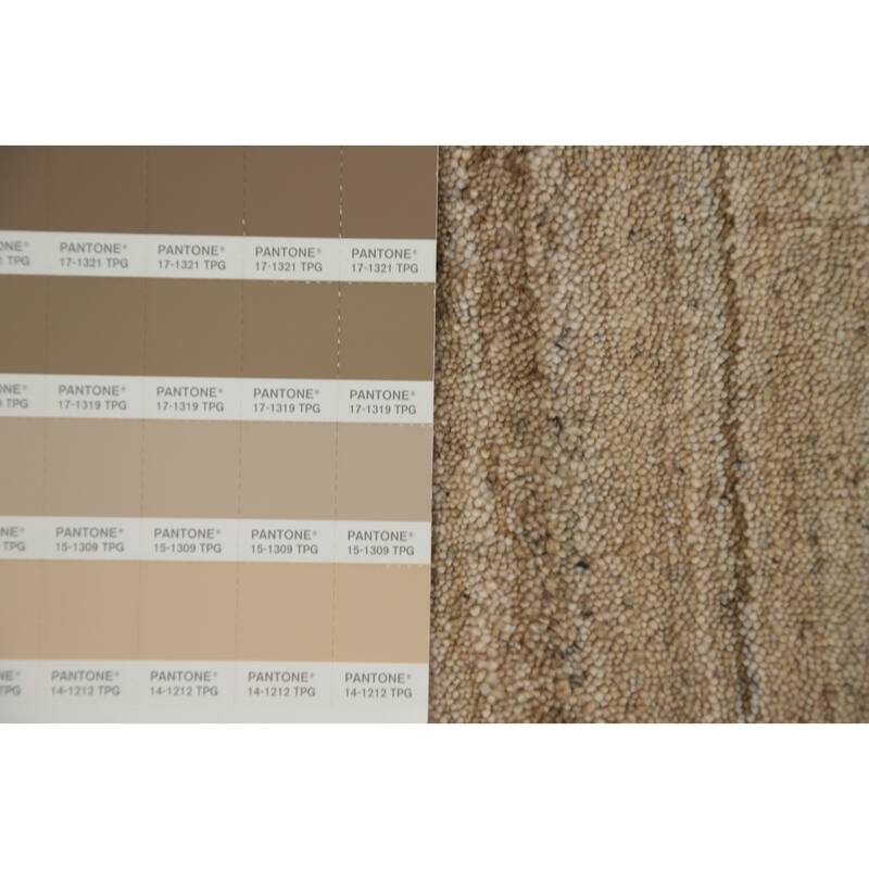 Hand Knotted Oriental 100% Wool Carpet Tribal Animal Pictorial Brown Gabbeh Area Rug - 8' 10'' X 5' 11''