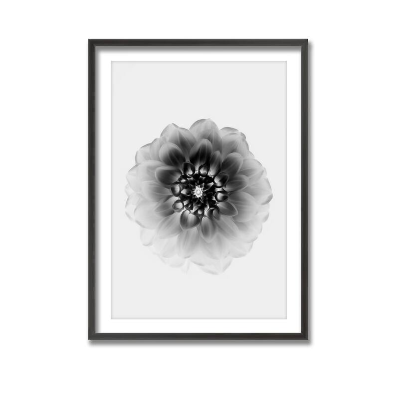 "X-Ray" Framed Print Wall Art by Alex Zhao