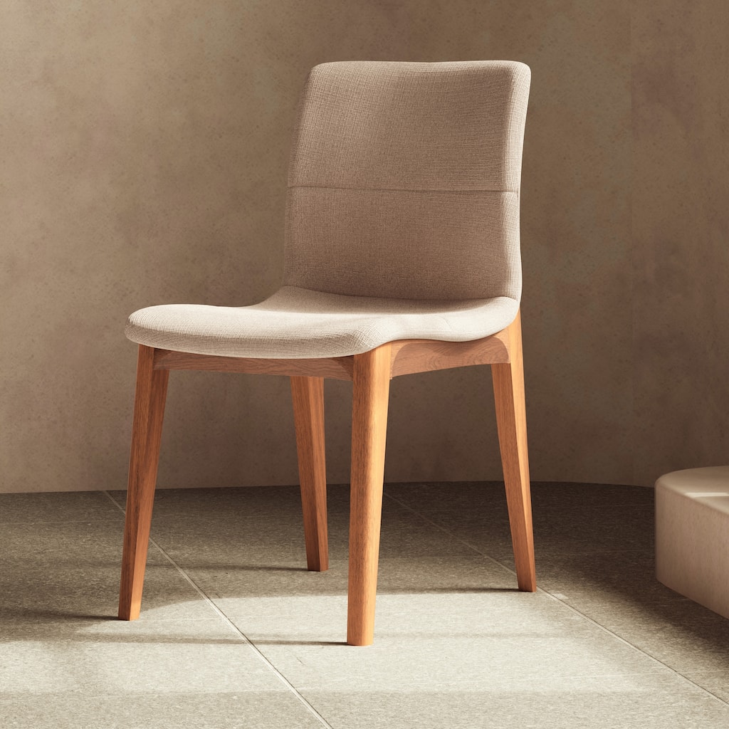 Modern Brazilian - Godan Side Chair
