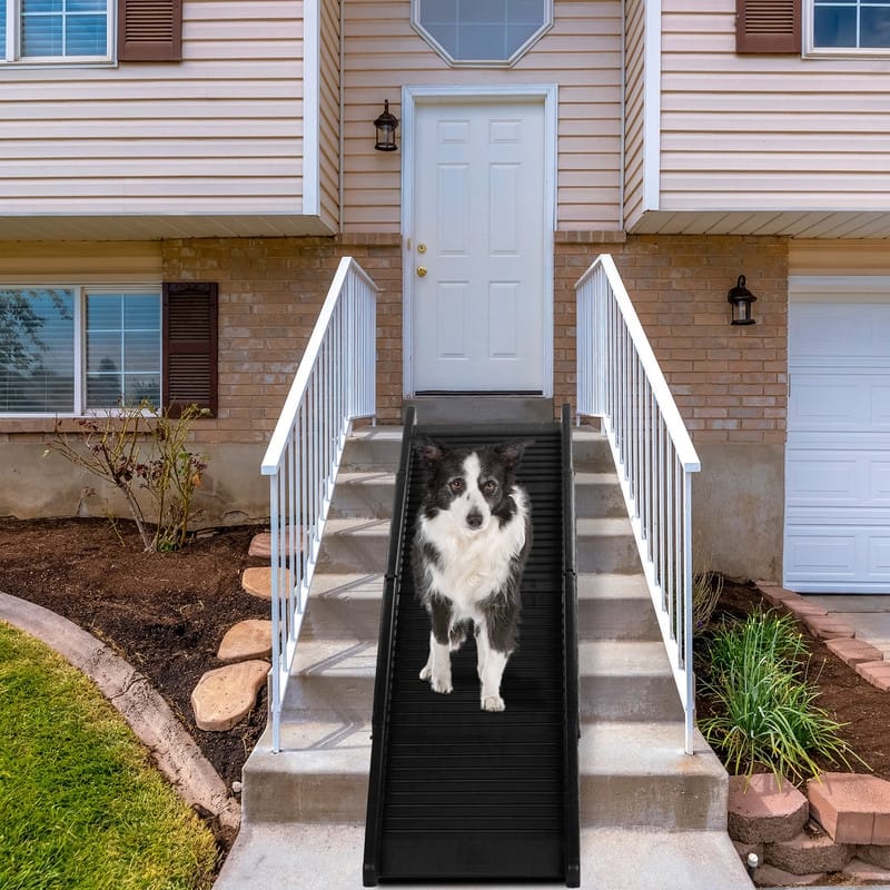 Plastic Folding Dog Ramp & Stairs