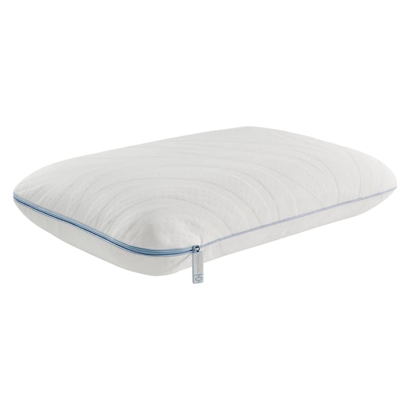 Sealy Dreamlife Performance Foam Pillow, Standard