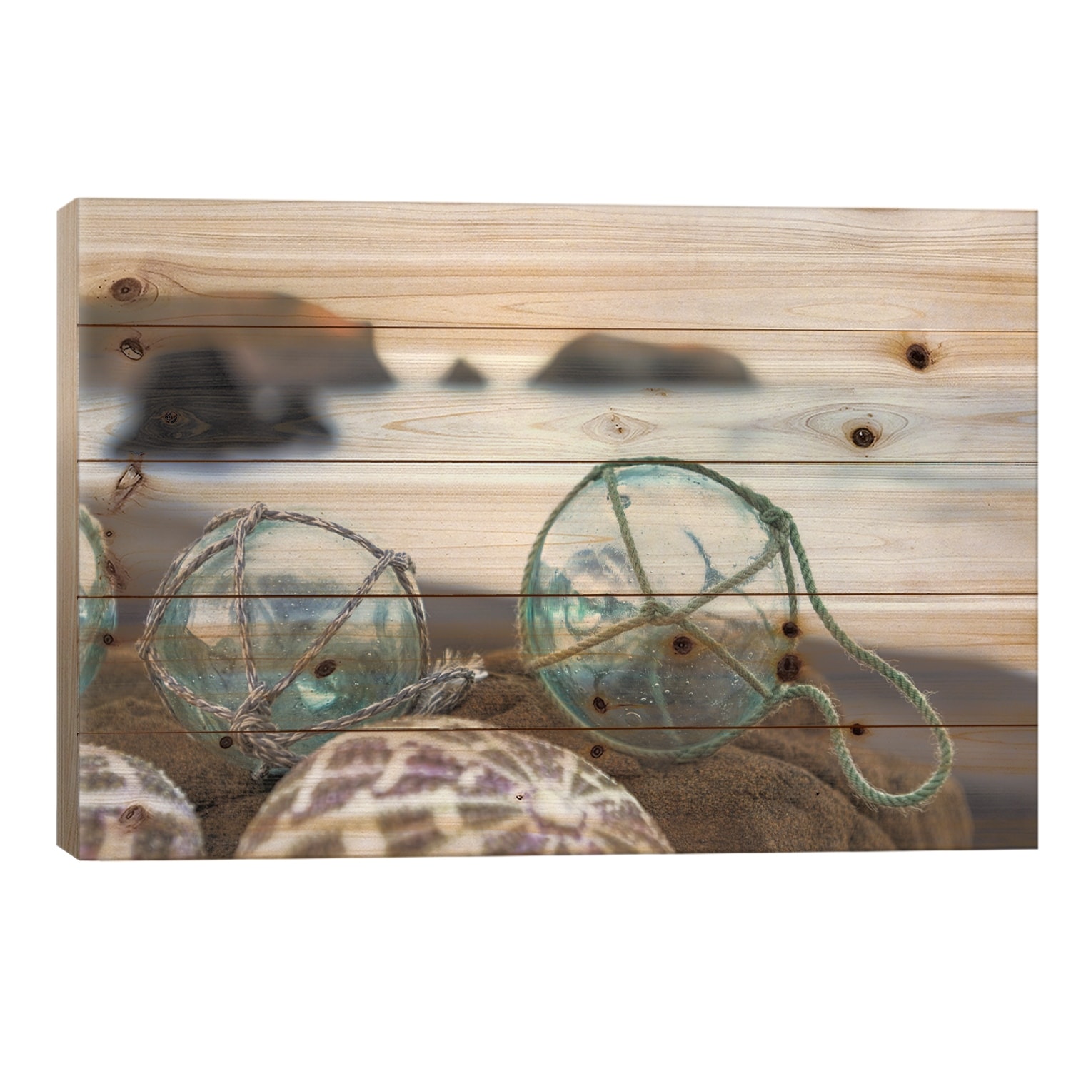 Crescent Beach Shells XVI Print On Wood by Alan Blaustein - Multi-Color