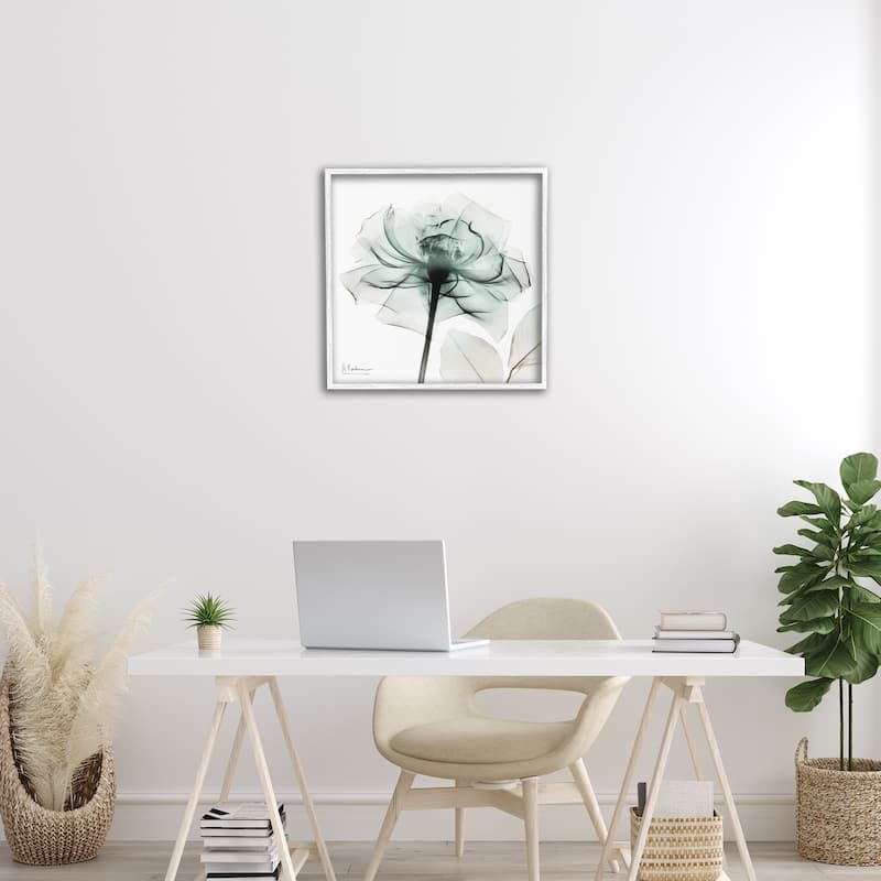Stupell Transparent Flower Blossom Framed Giclee Art Design By Albert Koetsier