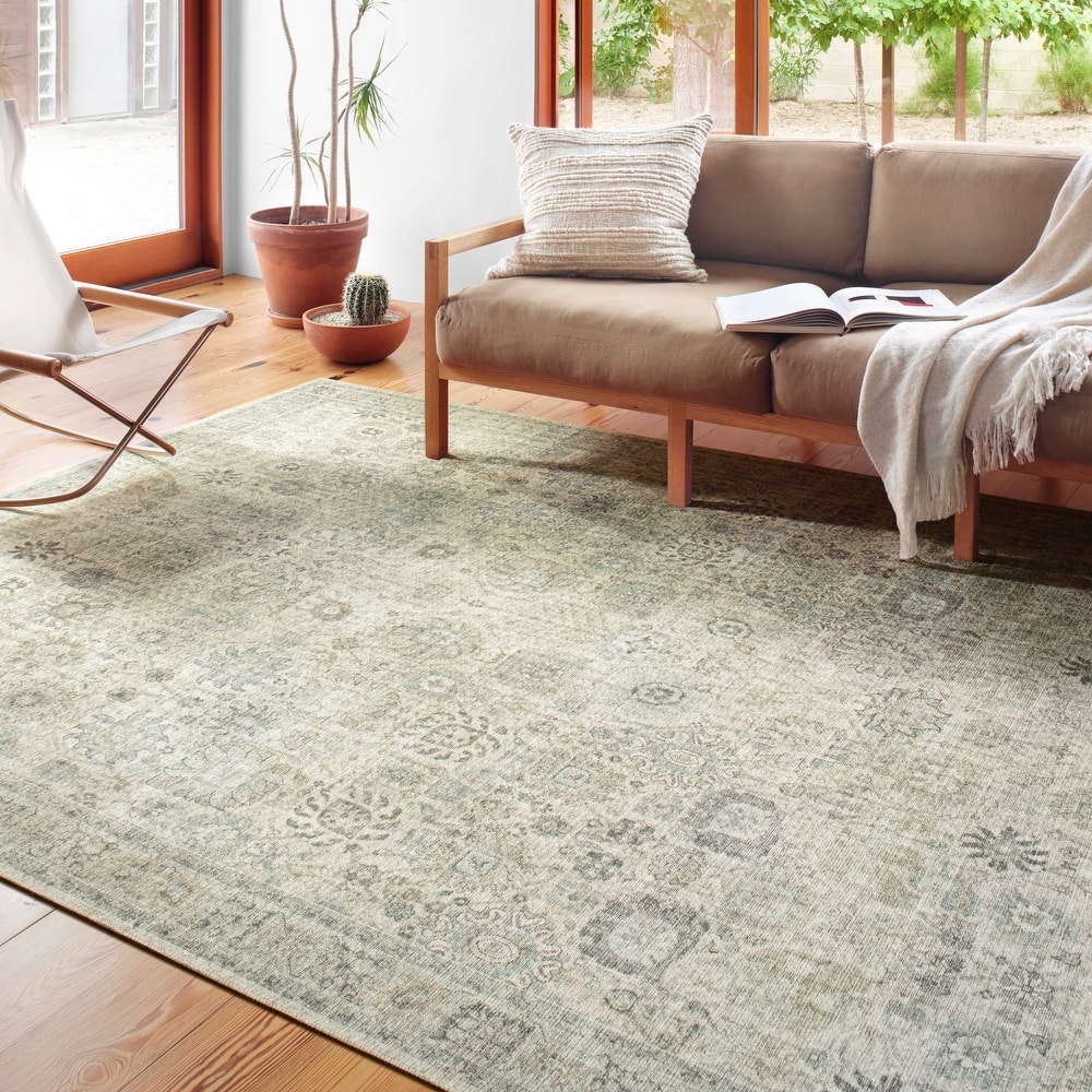 Alexander Home Leanne Printed Botanical Distressed Vintage Area Rug