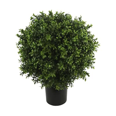 19" Ball-Shaped Boxwood Topiary in Plastic Liner - 19 inch