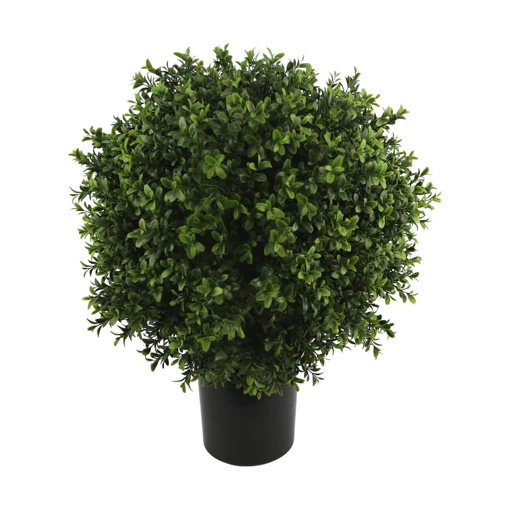 19" Ball-Shaped Boxwood Topiary in Plastic Liner - 19 inch