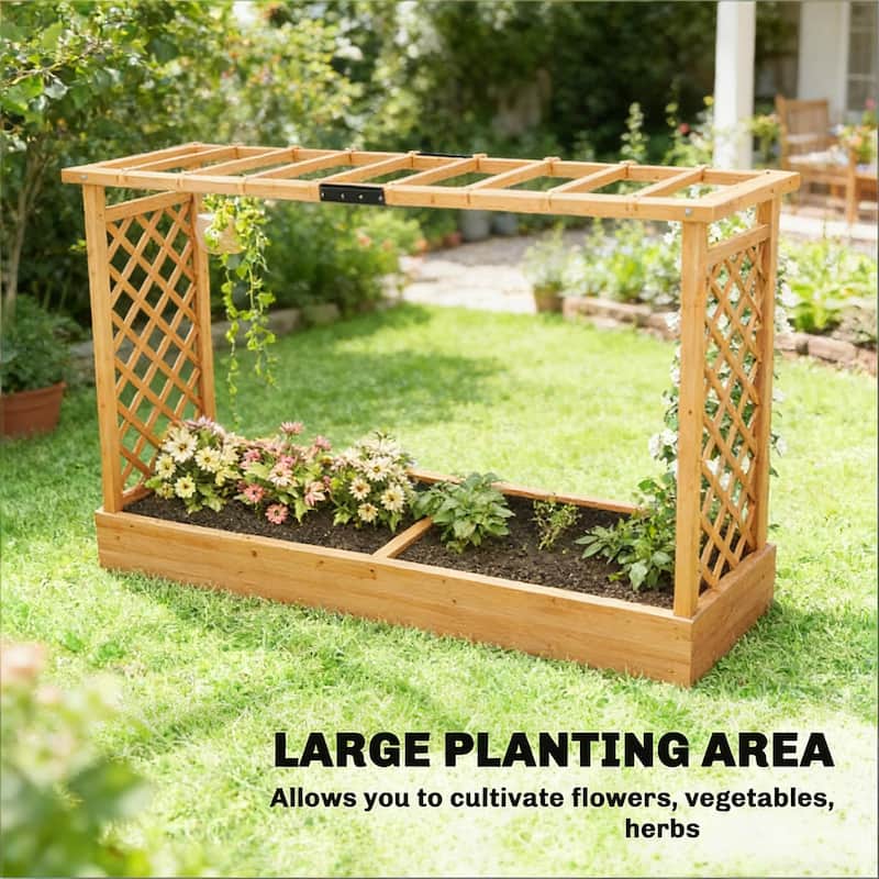 Raised Planter Garden with Trelli, Drainage for Tomatoe Climbing Plant