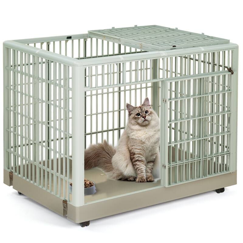 Modern Indoor Pet Crate