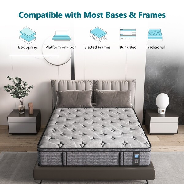 Modland 14'' Queen Hybrid Memory Foam Mattress in a Box - Pressure