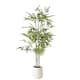 Option Bamboo Tree (Matte White Pot)