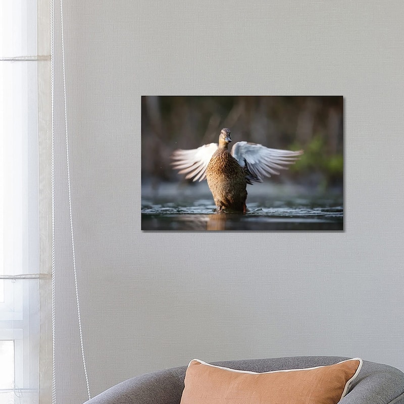 iCanvas "Mallard Duck" by Mateusz Piesiak Canvas Print - 18x26x1.5