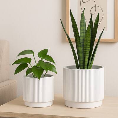 Modern Planter Bowl Set of 2, Ribbed Edges, Serene White Terracotta