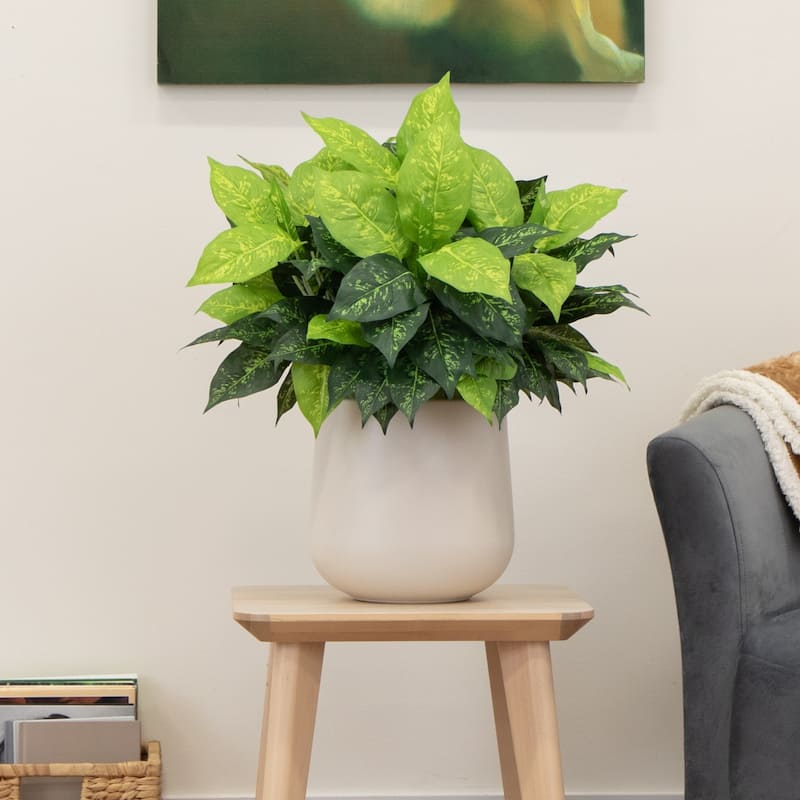 Dieffenbachia Artificial Plants - 19" - Green - Set of 6