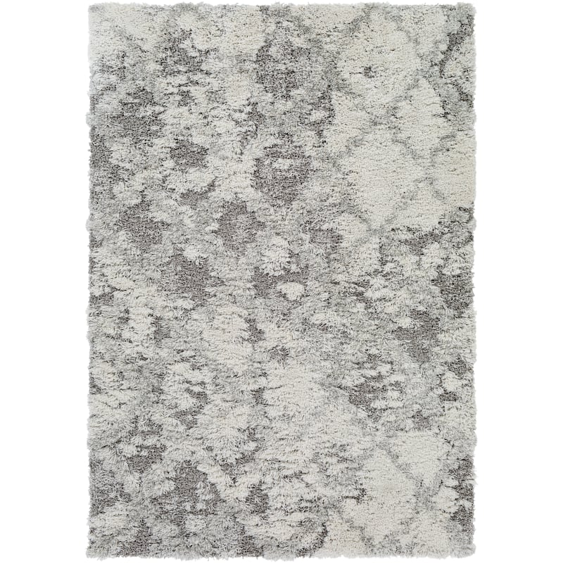 Livabliss Chace Distressed Trellis Shag Area Rug