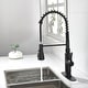 preview thumbnail 13 of 19, Spring Kitchen Faucet, Single Level Handle and Pull Down Sprayer