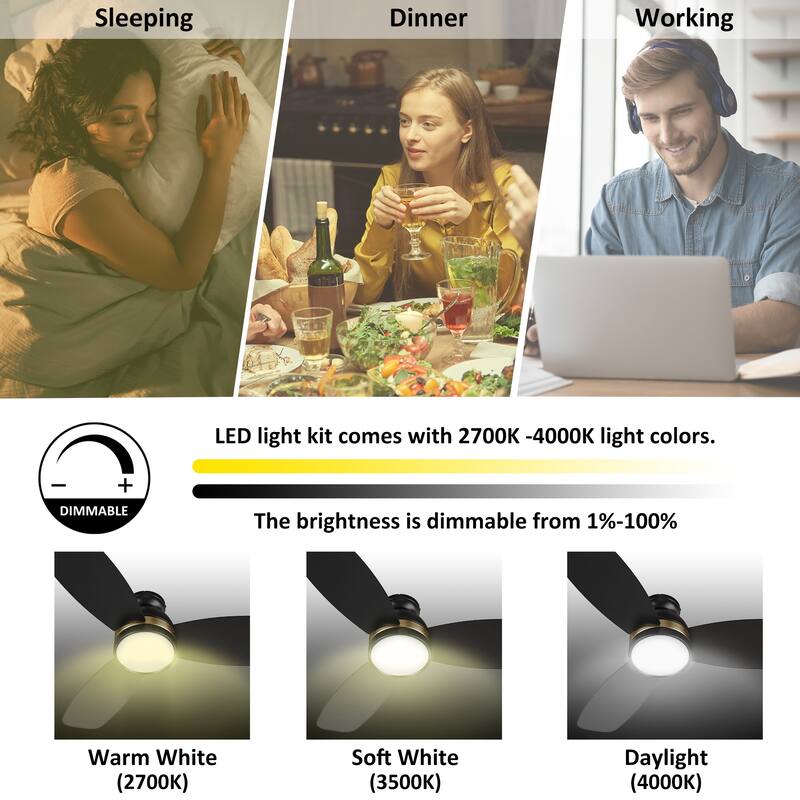 CARRO Quest 48" 3-Blade Smart Ceiling Fan with LED Light and Remote-Flush Mount