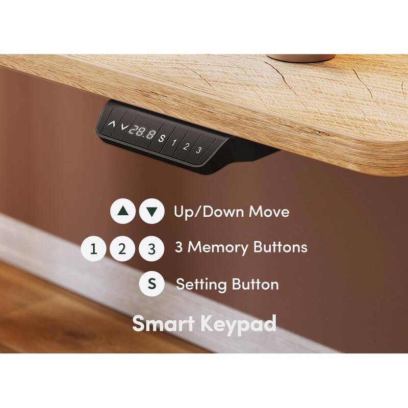 FEZIBO Electric Standing Desk, Height Adjustable Stand up Desk, Sit Stand Home Office Desk, Computer Desk
