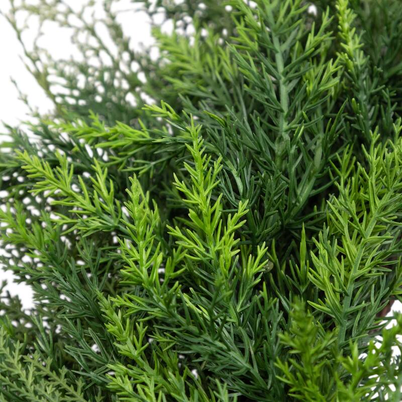 Cedar Artificial Christmas Wreath - 24" - Unlit