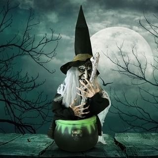 Haunted Hill Farm 1.6-ft. Animated Witch, Indoor/Covered Outdoor Halloween Decoration, Red/Green LED Eyes, Evanora