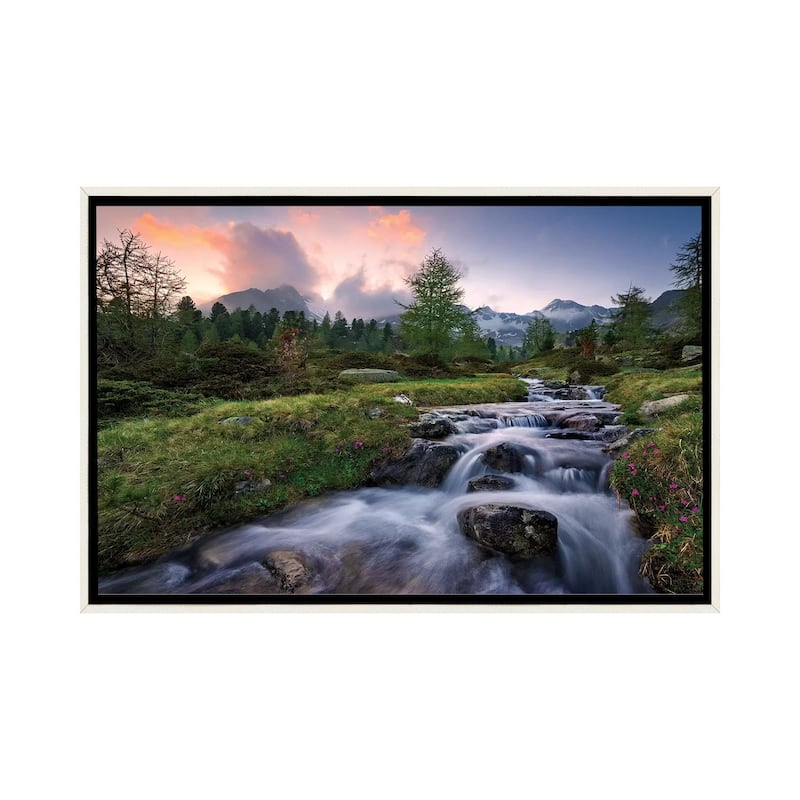 "Wild Paradise" by Stefan Hefele Framed