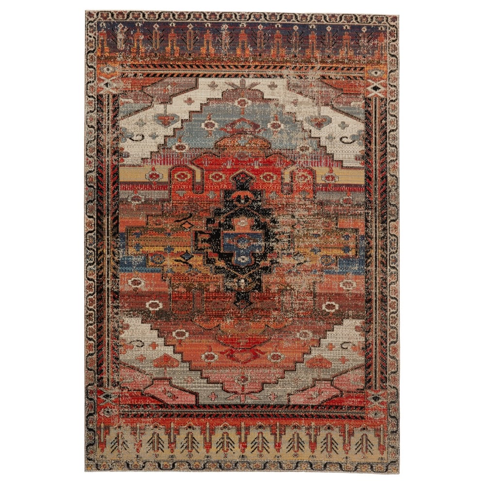 Cicero Indoor and Outdoor Medallion Area Rug