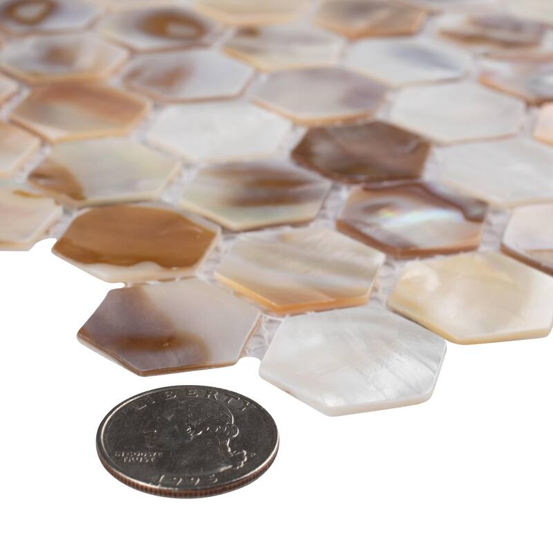 Merola Tile Conchella Hex Natural 11-1/2" x 11-5/8" Natural Shell Wall Tile