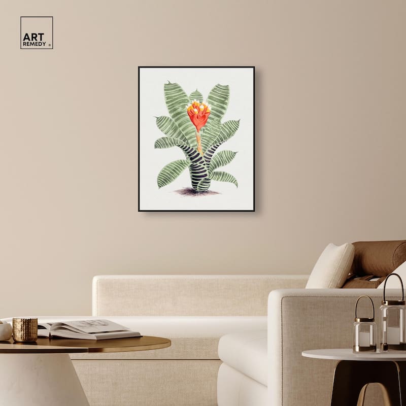 Tillandsia Musaica Plant Canvas by Art Remedy