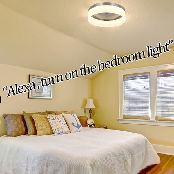 Smart Alexa Ceiling Light Work with Alexa and Google Assistant Dimmable and Color Temperature Changeable Satin Nickel Bed Bath Beyond 32300585
