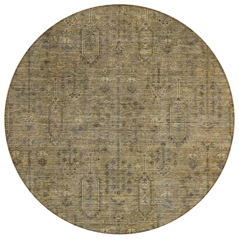 HomeRoots Southwestern Transitional Rectangle Outdoor Rug