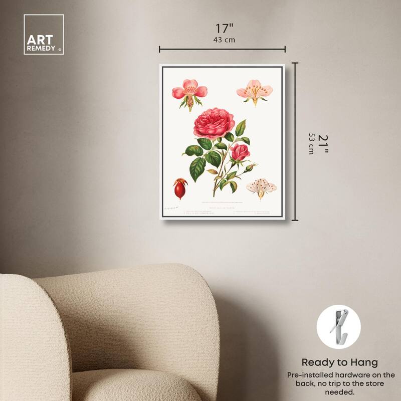 Rose and its parts (1872) Canvas by Art Remedy