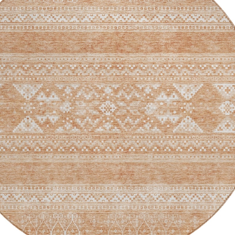 HomeRoots Southwestern Transitional Rectangle Outdoor Rug