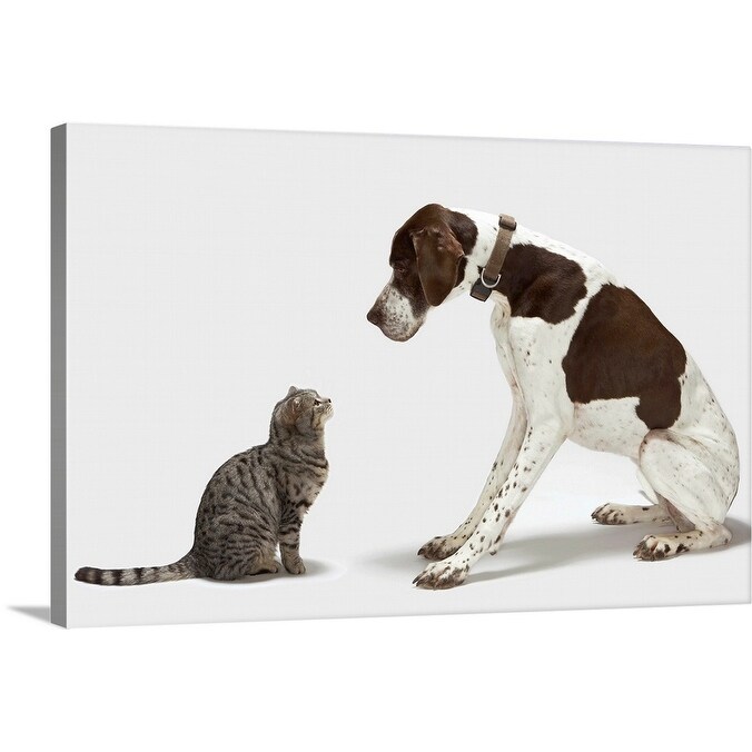 Shop Pointer Looking Down At Cat Canvas Wall Art Overstock