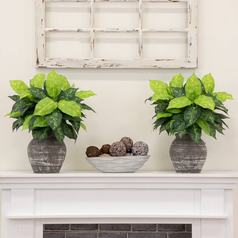 19" Artificial Dieffenbachia Plant - Set of 6 - Green