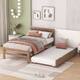 Option Walnut