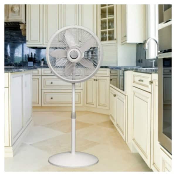 Lasko 18 Inch Elegance And Performance Pedestal Fan - White Lasko Elegance  And Performance Pedestal Fan - 457mm Diameter - 3 - Bed Bath u0026 Beyond -  15214704