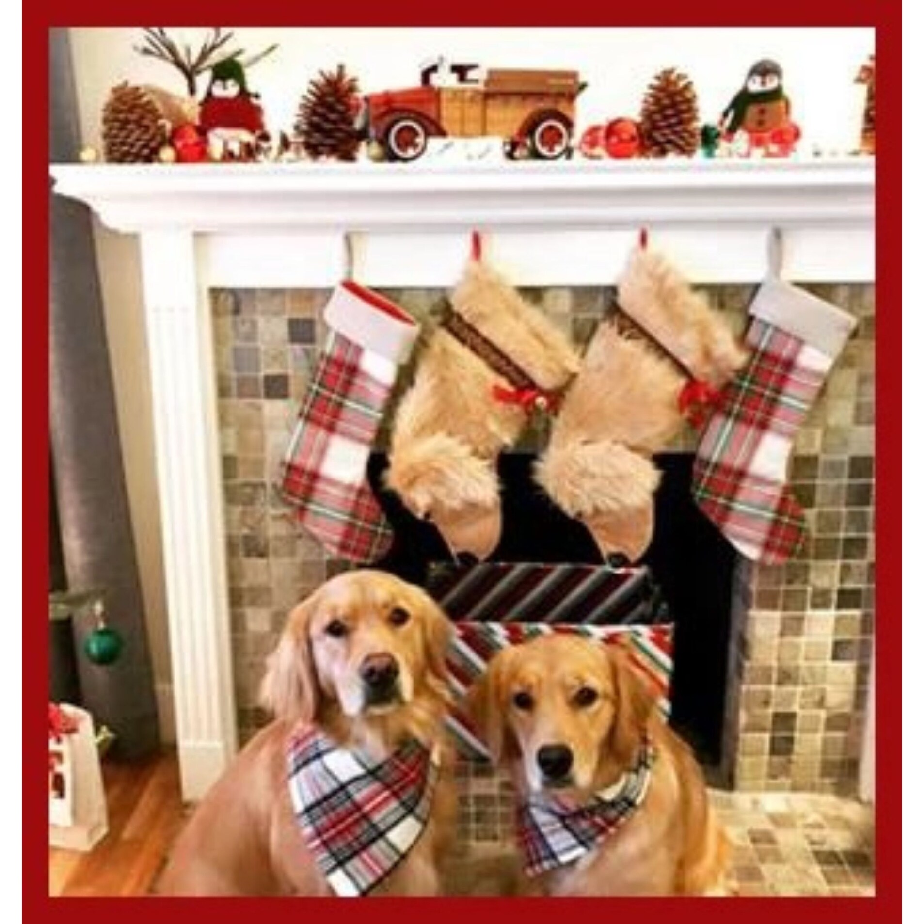 21 5 Beige Golden Retriever Dog Christmas Stocking Overstock 29961913