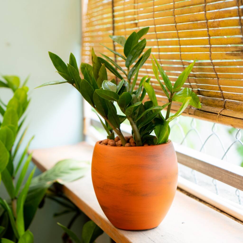 Smart Self-watering Round Planter Pot for Indoor and Outdoor