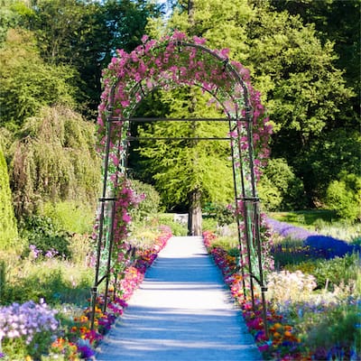 Garden Arch Trellis with PE Coated Metal Structure