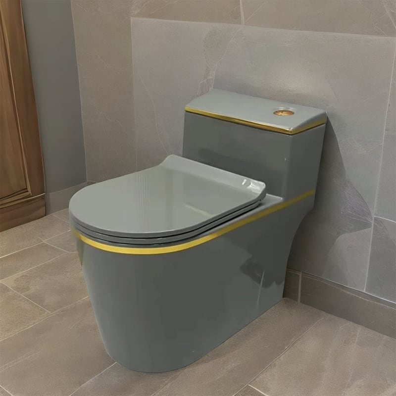 Grey Ceramic One Piece Toilet with Seat