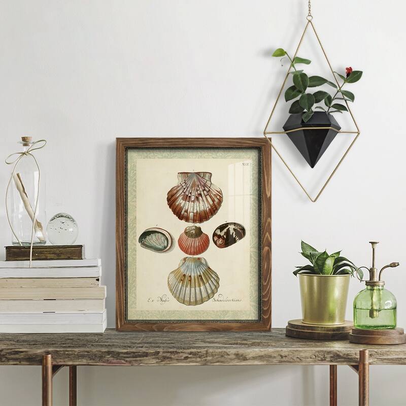 Bookplate Shells III -Framed Print w/glass-Cherry Red