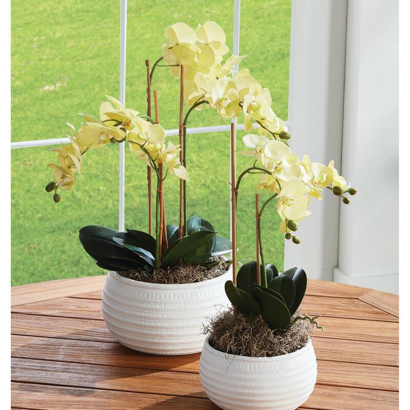 Hand-crafted Phalaenopsis Orchid 30 inch Tall Drop-In
