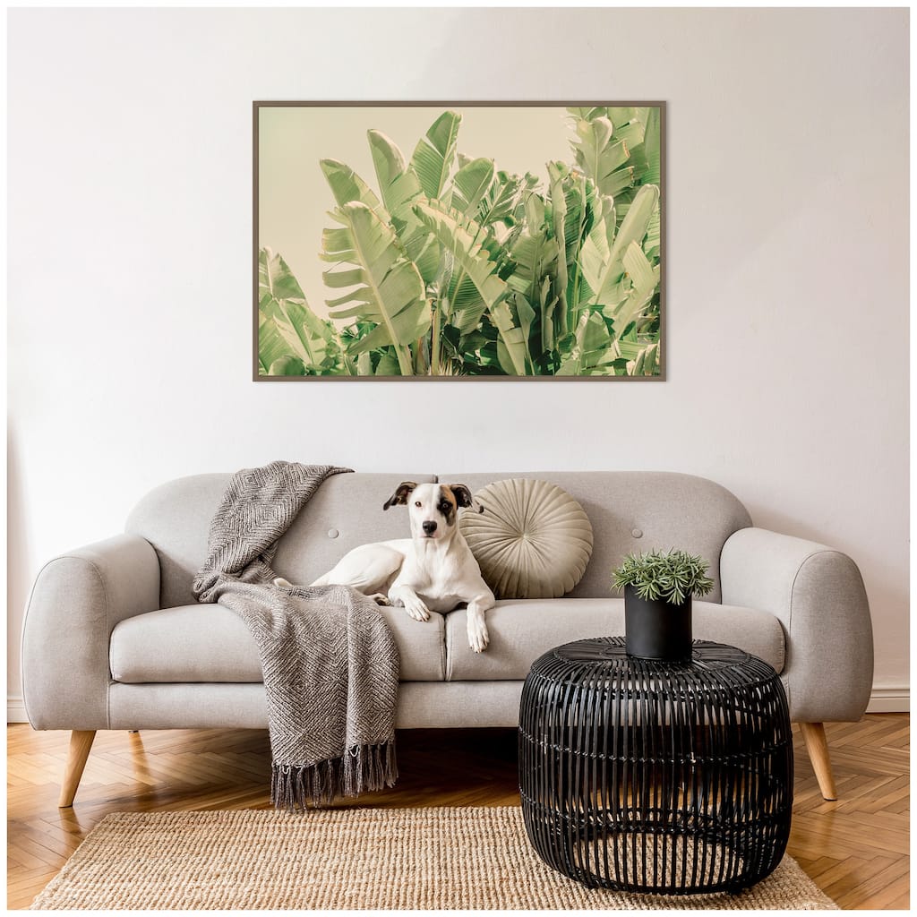 Kate and Laurel Potential by Alicia Bock Framed Canvas Wall Art Print