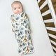 preview thumbnail 50 of 62, Norani Snugababe Swaddle Pod
